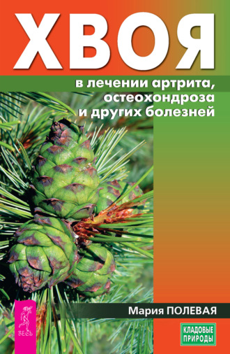 Мария Полевая, Хвоя в лечении артрита, остеохондроза и других болезней